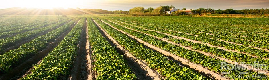 Instrumentos para Agronomia